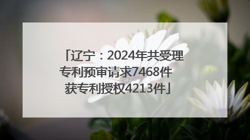 辽宁：2024年共受理专利预审请求7468件 获专利授权4213件