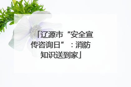 辽源市“安全宣传咨询日”：消防知识送到家