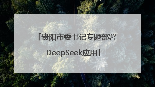贵阳市委书记专题部署DeepSeek应用
