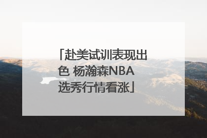 赴美试训表现出色 杨瀚森NBA选秀行情看涨