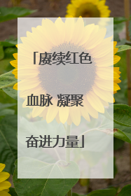 赓续红色血脉 凝聚奋进力量