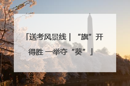 送考风景线｜“旗”开得胜 一举夺“葵”