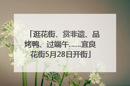 逛花街、赏非遗、品烤鸭、过端午……宜良花街5月28日开街