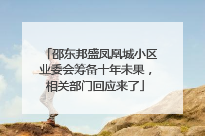 邵东邦盛凤凰城小区业委会筹备十年未果，相关部门回应来了