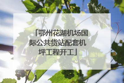 鄂州花湖机场国际公共货站配套机坪工程开工