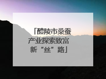 醴陵市桑蚕产业探索致富新“丝”路