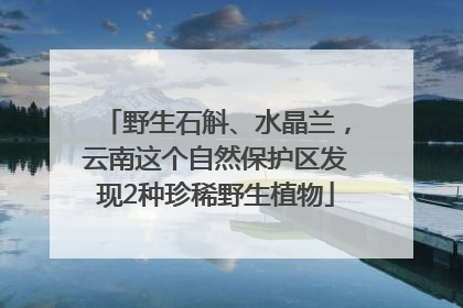野生石斛、水晶兰，云南这个自然保护区发现2种珍稀野生植物