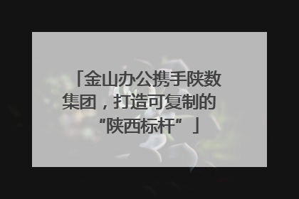 金山办公携手陕数集团，打造可复制的“陕西标杆”