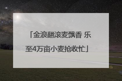 金浪翻滚麦飘香 乐至4万亩小麦抢收忙
