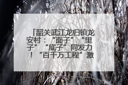 韶关武江龙归镇龙安村：“面子”“里子”“底子”同发力！“百千万工程”激活乡村新动能