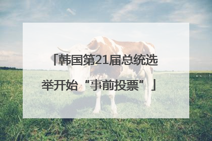 韩国第21届总统选举开始“事前投票”