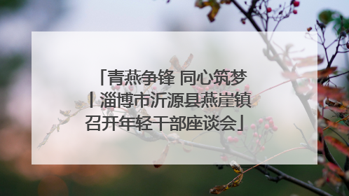 青燕争锋 同心筑梦丨淄博市沂源县燕崖镇召开年轻干部座谈会