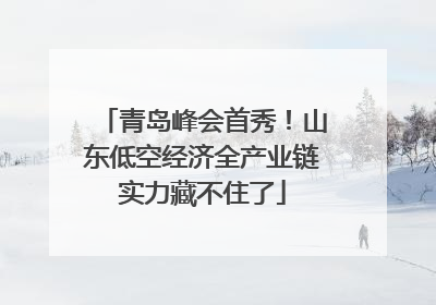 青岛峰会首秀！山东低空经济全产业链实力藏不住了