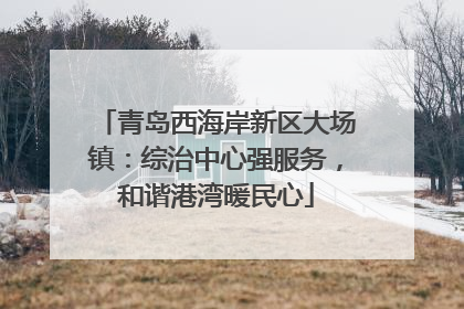 青岛西海岸新区大场镇：综治中心强服务，和谐港湾暖民心