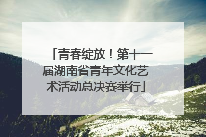 青春绽放！第十一届湖南省青年文化艺术活动总决赛举行