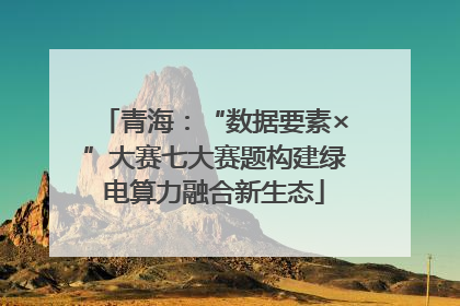 青海：“数据要素×”大赛七大赛题构建绿电算力融合新生态