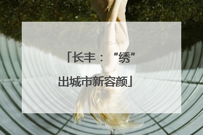 长丰：“绣”出城市新容颜