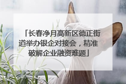 长春净月高新区德正街道举办银企对接会，精准破解企业融资难题