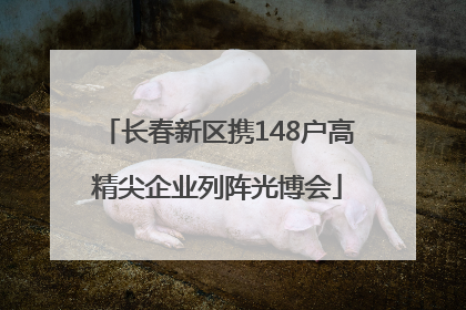 长春新区携148户高精尖企业列阵光博会