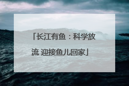 长江有鱼：科学放流 迎接鱼儿回家