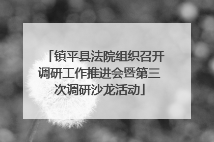 镇平县法院组织召开调研工作推进会暨第三次调研沙龙活动