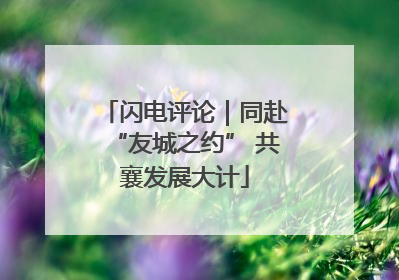 闪电评论｜同赴“友城之约” 共襄发展大计