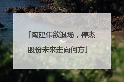 陶建伟欲退场，棒杰股份未来走向何方