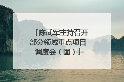 陈武军主持召开部分领域重点项目调度会（图）