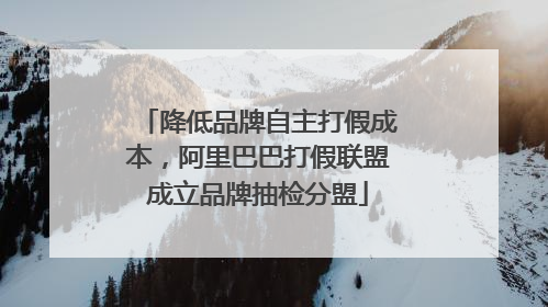 降低品牌自主打假成本，阿里巴巴打假联盟成立品牌抽检分盟