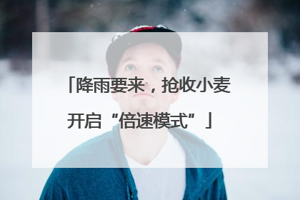 降雨要来，抢收小麦开启“倍速模式”