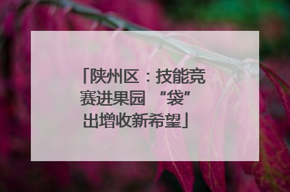 陕州区：技能竞赛进果园 “袋”出增收新希望