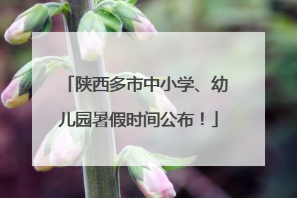 陕西多市中小学、幼儿园暑假时间公布！