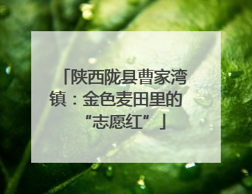 陕西陇县曹家湾镇：金色麦田里的“志愿红”