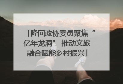 隆回政协委员聚焦“亿年龙洞” 推动文旅融合赋能乡村振兴