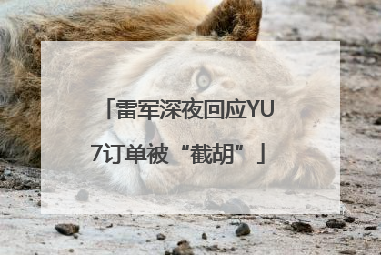 雷军深夜回应YU7订单被“截胡”