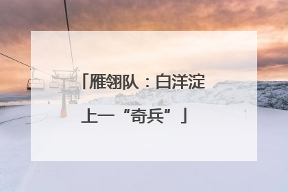 雁翎队：白洋淀上一“奇兵”