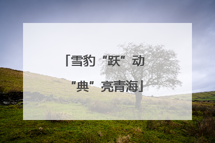 雪豹“跃”动 “典”亮青海