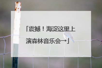 震撼！海淀这里上演森林音乐会→