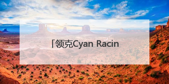 领克Cyan Racing车队再获佳绩 TCR世巡赛西班牙站包揽六座奖杯
