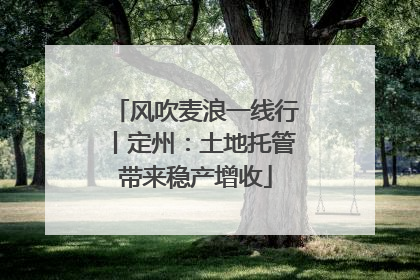风吹麦浪一线行丨定州：土地托管带来稳产增收