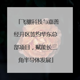 飞骧科技与嘉善经开区签约华东总部项目，赋能长三角半导体发展