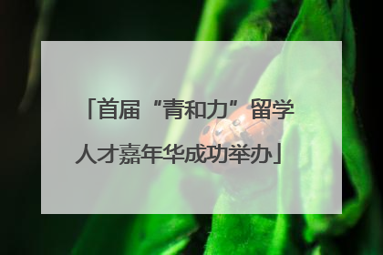 首届“青和力”留学人才嘉年华成功举办