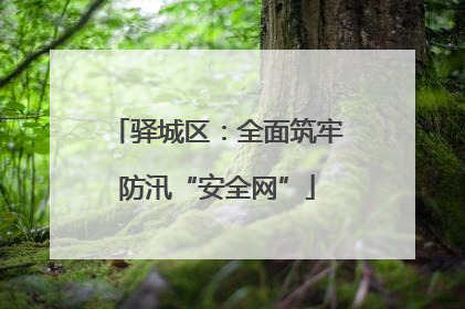 驿城区：全面筑牢防汛“安全网”
