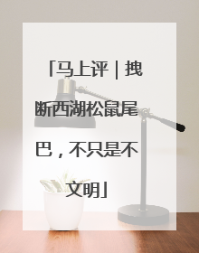 马上评｜拽断西湖松鼠尾巴，不只是不文明