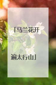 马兰花开遍太行山