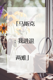 马斯克：我进退两难