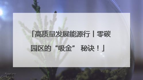 高质量发展能源行丨零碳园区的“吸金” 秘诀！