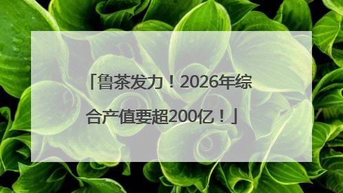 鲁茶发力！2026年综合产值要超200亿！