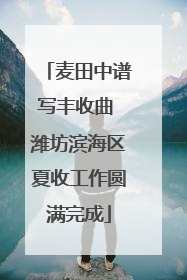 麦田中谱写丰收曲 潍坊滨海区夏收工作圆满完成
