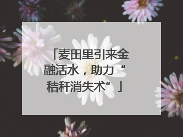 麦田里引来金融活水，助力“秸秆消失术”